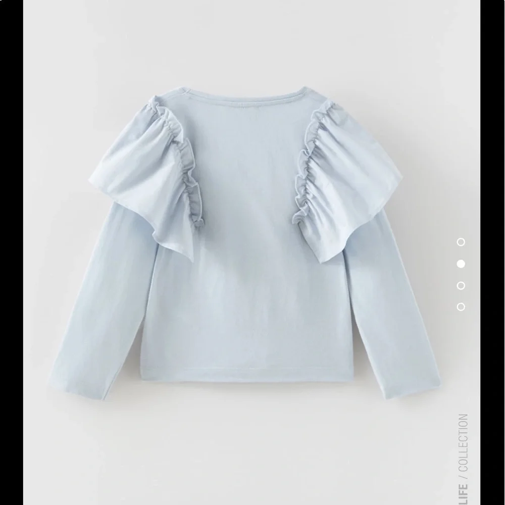 Zara Ruffled Top